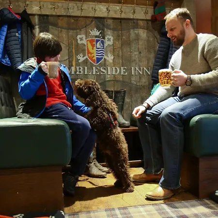 The - The Collection Group 3*