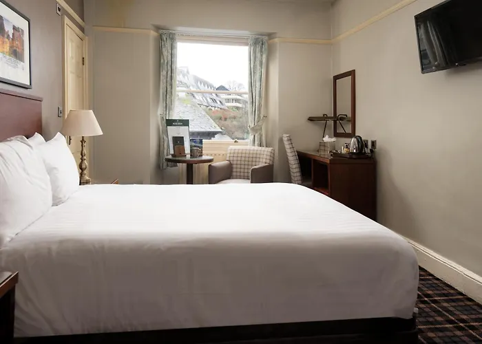 The - The Collection Group