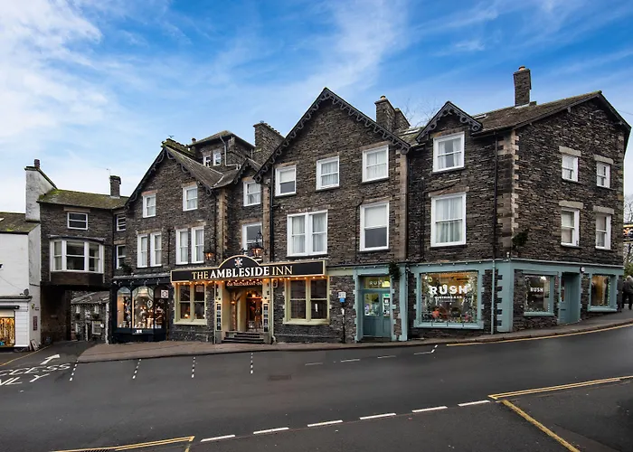 The - The Collection Group 3*