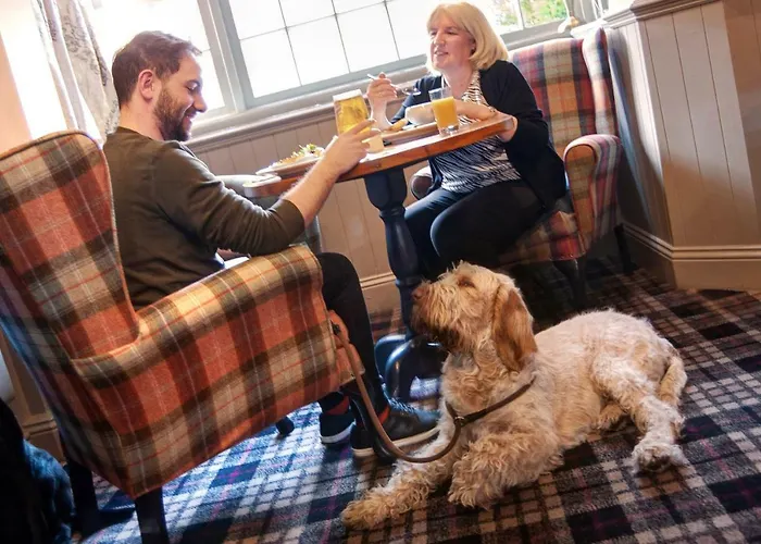 The - The Collection Group 3*