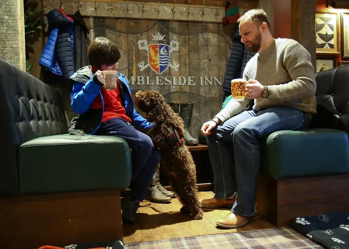 The - The Collection Group 3*