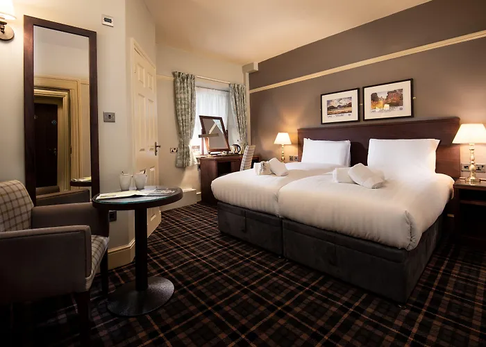 The - The Collection Group 3*